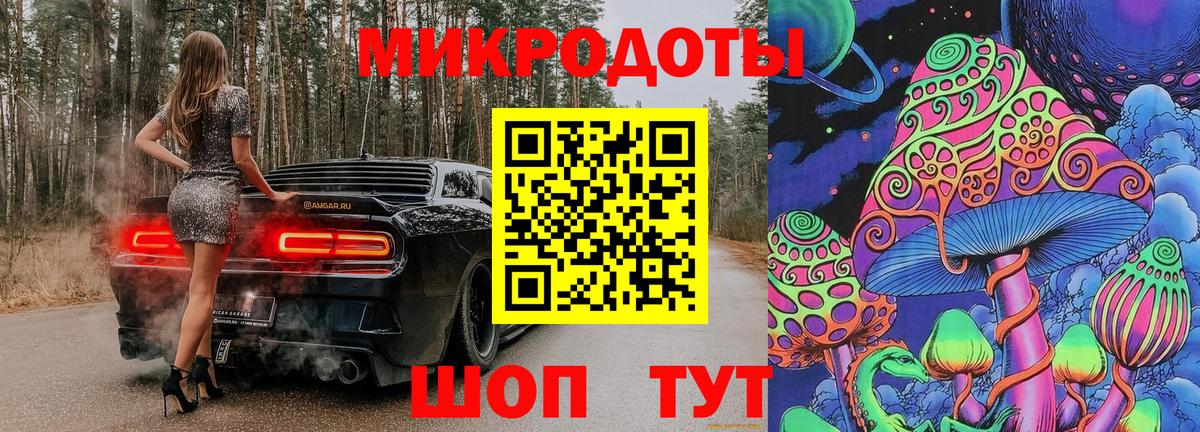 Галлюциногенные грибы Psilocybine cubensis Лесной